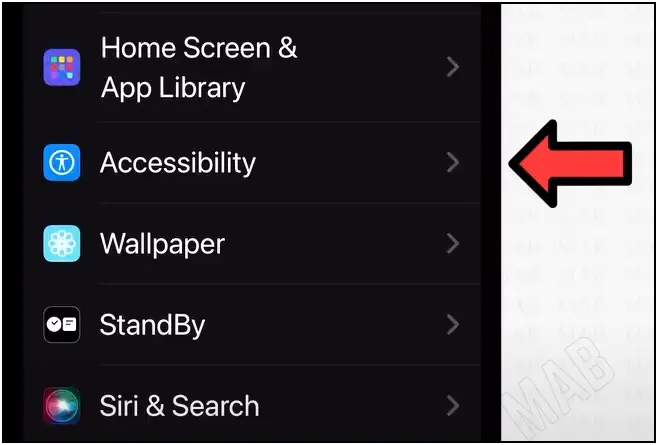 خيار "Accessibility"